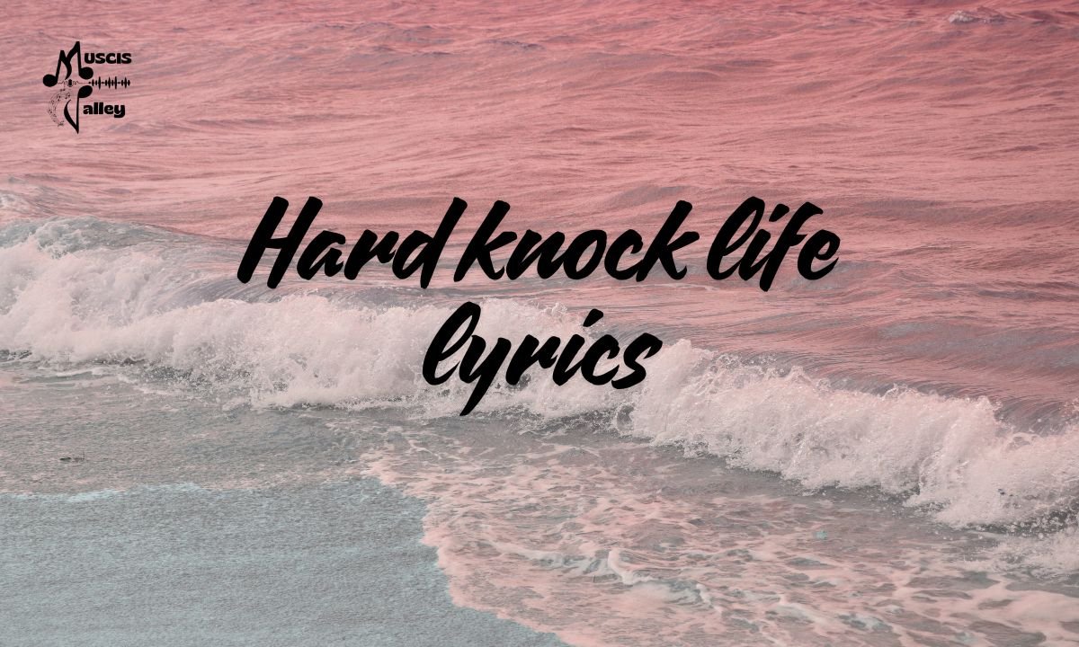 Hard knock life lyrics